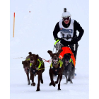 Del Canto con sus perros ‘greysther’ un cruce entre el pointer alemán y el galgo americano. DL