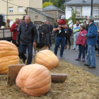 Imagen de las tres calabazas que coparon el podio de la feria celebrada ayer en Igüeña