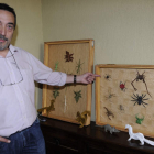 El profesor de Física, Química y Matemáticas en el Colegio Divina Pastora de León muestra dos de sus cuadros de exposición, en los que se ven insectos palo y más de una decena de arañas.