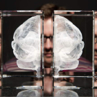 Imagen de archivo de la exposición ‘Cerebros: la mente como materia’