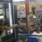 Captura de pantalla del perro conduciendo un carrito de la compa en un supermercado junto a su amo