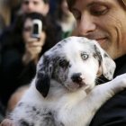 Viggo Mortensen con la cría de carea que le regalaron el día de la ceremonia de la entrega de la Medalla de Oro de la Provincia. RAMIRO