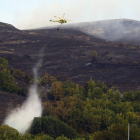 Imagen de las secuelas que han dejado las llamas en el incendio de Encinedo en La Cabrera.