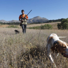 Un cazador con sus perros en una jornada de media veda en los campos leoneses. JESÚS F. SALVADORES