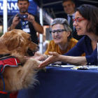 Desfile canino popular en el que participan, entre otros perros, varios ejemplares de la Protectora de Animales de León listos para ser adoptados