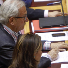 Morano, en la votación del Senado, el día 20.