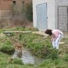 Un perro juega en un riachuelo que fluye en las cercanías de la perrera municipal