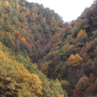 Laciana es una comarca de naturaleza indómita, con abruptos bosques mixtos, brañas y espacios curiosos como el Centro de Interpretación del Urogallo, en Caboalles de Arriba, o el Aula de Geología de Robles. Además de rutas a caballopor el Alto Sil, la est