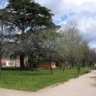 Parte de los caminos del jardín de la Sinagoga, en la imagen, se encharcan cuando llueve