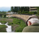 Una persona mayor contemplando el río Bernesga que pasa por la ciudad de León, que sufre cada año un mayor envejecimiento de la población.