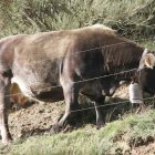 La comarca pide soluciones para una de sus fuentes de recursos.