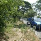 Este es el descuidado estado que presentan las zonas verdes del barrio de Compostilla