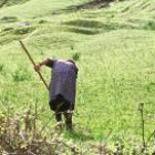 Una campesina de avanzada edad trabaja en uno de los pastos del parque de Picos de Europa