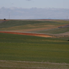 Campo de agricultura en Castilfale. JESÚS F. SALVADORES