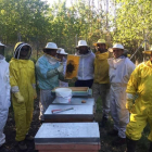 La apicultura es un sector al alza en el Bierzo y la provincia