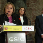 Rosa Menéndez, en el Csic. KIKO HUESCA