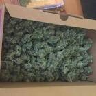 La caja con lo cogollos localizada en la casa del detenido. DL
