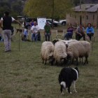 El especialista internacional Óscar Murgia sacó lo mejor de cada perro y enseñó a la docena de alumnos de este curso sobre instinto canino. CAMPOS