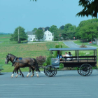 Bus Amish.