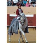 Una imagen del espectáculo celebrado en la plaza de toros de Valencia de Don Juan.