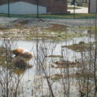 Las últimas lluvias han dejado grandes charcos en el entorno del parque de la Era de San Andrés.