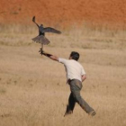 Una rapaz sale del guante del cetrero al iniciar un lance en el campo de vuelos .