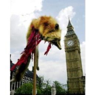 Manifestantes contra la caza del zorro muestran a un ejemplar muerto ante el Big Ben de Londres