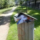 Imagen de la situación del contenedor del paseo del Sil.
