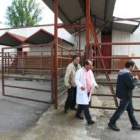 Imagen de archivo de una de las visitas realizadas por los técnicos veterinarios al matadero