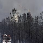 Los incendios continúan quemando el monte de la provincia
