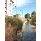 La presa del Bernesga tiene maleza en la orilla y basura en el cauce. DL