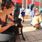El Bierzo está sensibilizado con los servicios que se deben prestar a las mascotas. ANA F, BARREDO