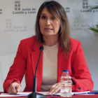 Rocío Lucas, consejera de Educación de CyL. NACHO GALLEGO