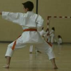 Los karatecas leoneses dejaron constancia de su gran nivel en el autonómico cadete y júnior