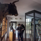 El museo de la plaza de toros Monumental, en Barcelona.