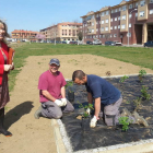 Sánchez, junto a los operarios que plantan la nueva rosaleda.