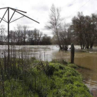 El Órbigo bajaba ayer cargado a su paso por el puente de la Vizana, en Alija del Infantado.