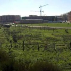 Terrenos situados entre el ferrocarril, Azorín y Limonar de Cuba, que se desarrollarán con el plan.