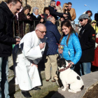 Un perro observa desconfiado al sacerdote que lo bendice.