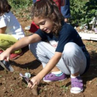 Una niña planta una hortaliza en el huerto infantil, ayer en Matalobos del Páramo.