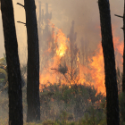 Imagen de archivo de un incendio declarado en la provincia. JESÚS F. SALVADORES