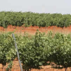 Los productores quieren controlar la diferencia entre el precio de origen y el de consumo.