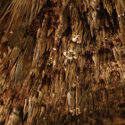 Conjunto de estalagtitas en la Cueva de Valporquero