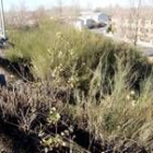 Situación en la que se encuentra una de las cunetas de la calle Azorín