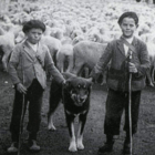 Dos motriles en una foto fechada en octubre de 1936. ‘LA GESTA DE LOS MOTRILES DE LA TRASHUMANCIA’