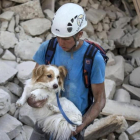 Un voluntario salva a un perro durante los trabajos de rescate tras el terremoto en la localidad de Amatrice  en el centro de Italia.