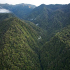 Vista aérea de una selva de Papúa Nueva Guinea.