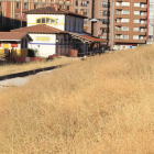 La maleza y los materiales amontonados forman parte del escenario de la estación.