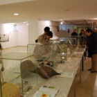 La exposición de pesca está abierta hasta el sábado en Fabero.