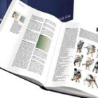 Las referencias bercianas en la enciclopedia son muy numerosas